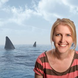 Heidi vs Sharks (WiP)