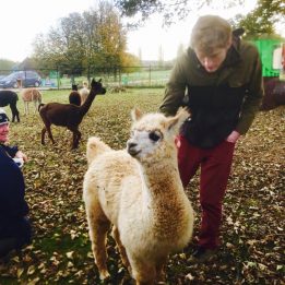 COLD LASAGNE HATE MYSELF 1999