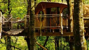 Win 2 Nights in the World’s Most Beautiful Treehouse + Festival Tickets