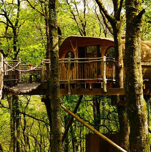 Win 2 Nights in the World’s Most Beautiful Treehouse + Festival Tickets
