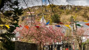 Be part of the Volunteer team 2017!