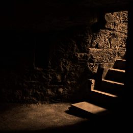 The Haunted Cellar