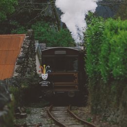 Toot-toot