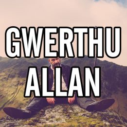Celwyddgi