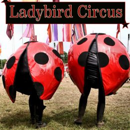The Ladybird Circus Show
