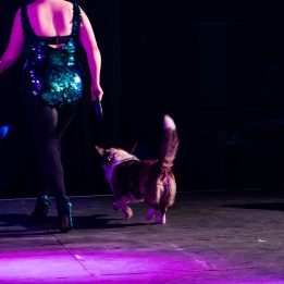 Saturday Night Showcase (BBC Radio Wales Mach Arena)