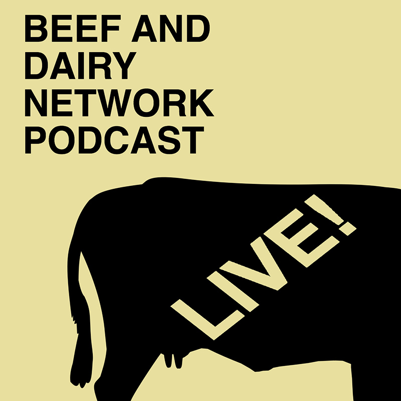Beef And Dairy Network Podcast – LIVE!