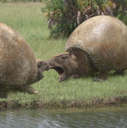 Drawing of a pair of Glyptodons fighting by a river.