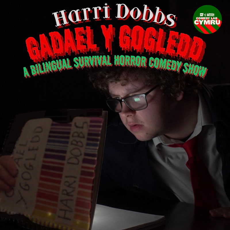 Picture of Harri Dobbs wearing a suit, leaning forward and staring into a mysterious folder with light coming from it. There is text at the top which says 'HARRI DOBBS. GADAEL Y GOGLEDD. A BILINGUAL SURVIVAL HORROR SHOW'